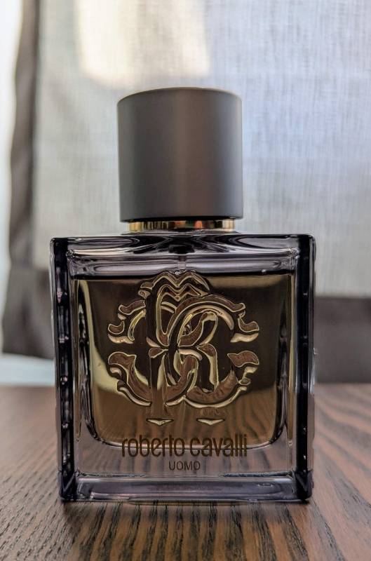 Roberto Cavalli Uomo Silver Essence [Discontinued]