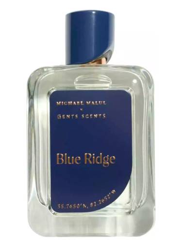 Michael Malul Blue Ridge