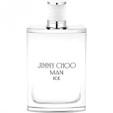 Jimmy Choo Man Ice (Dior Homme Cologne)