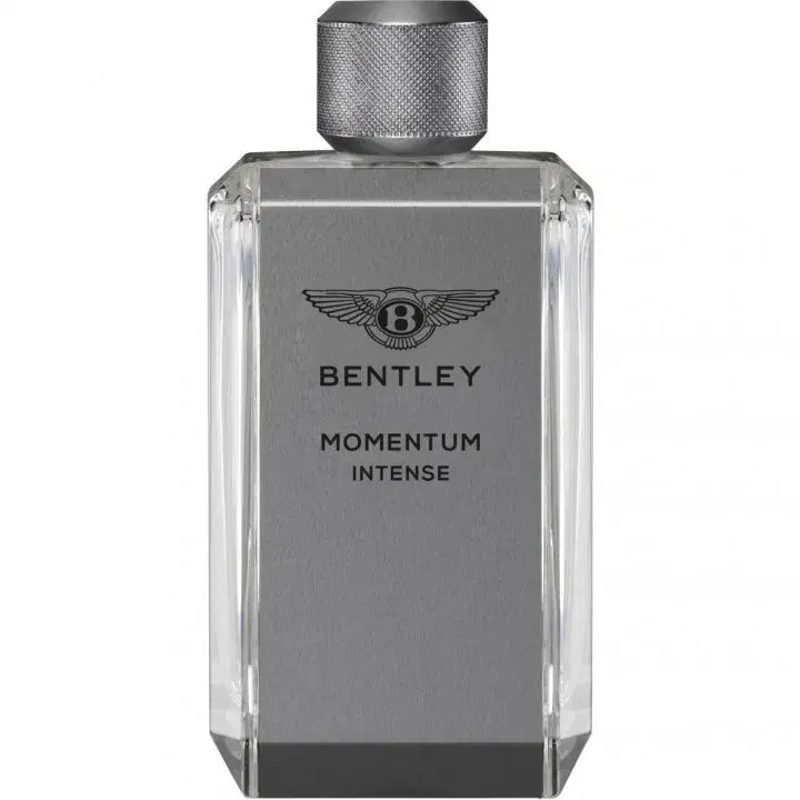 Bentley Momentum Intense