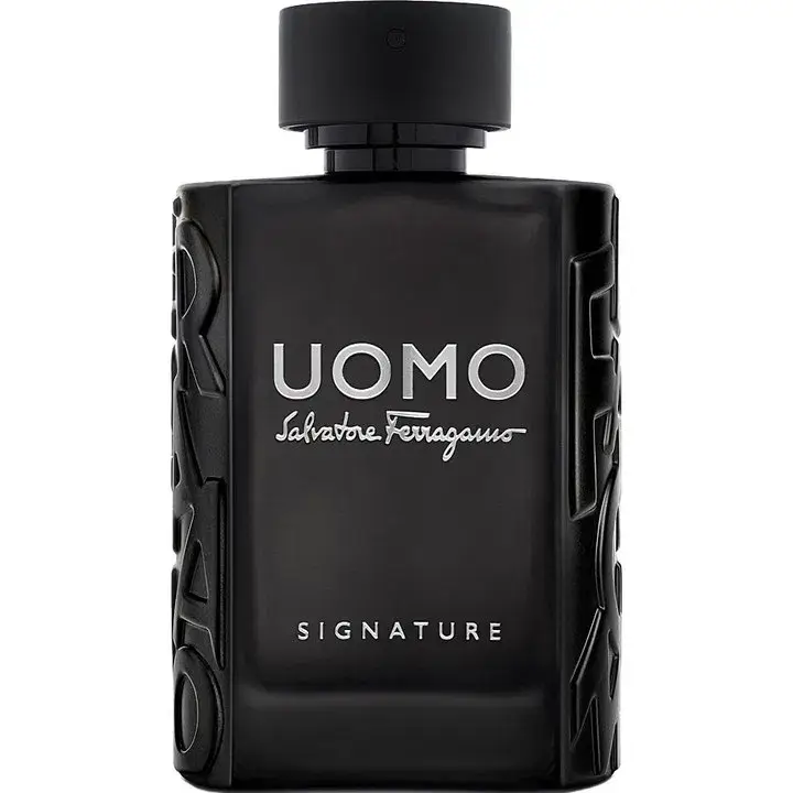 Ferragamo Uomo Signature