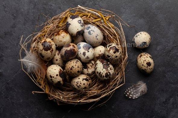QUAIL EGG  (കാടമുട്ട) 1 set  = 24 EGG