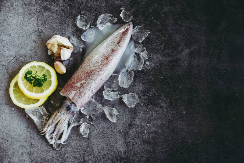 SQUID (കണവ)