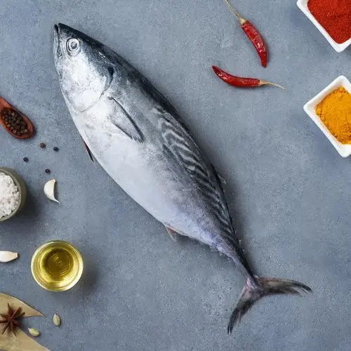 TUNA   (ചൂര)