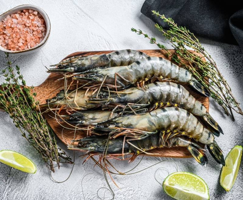 PRAWN (കൊഞ്ച് / ചെമ്മീൻ)