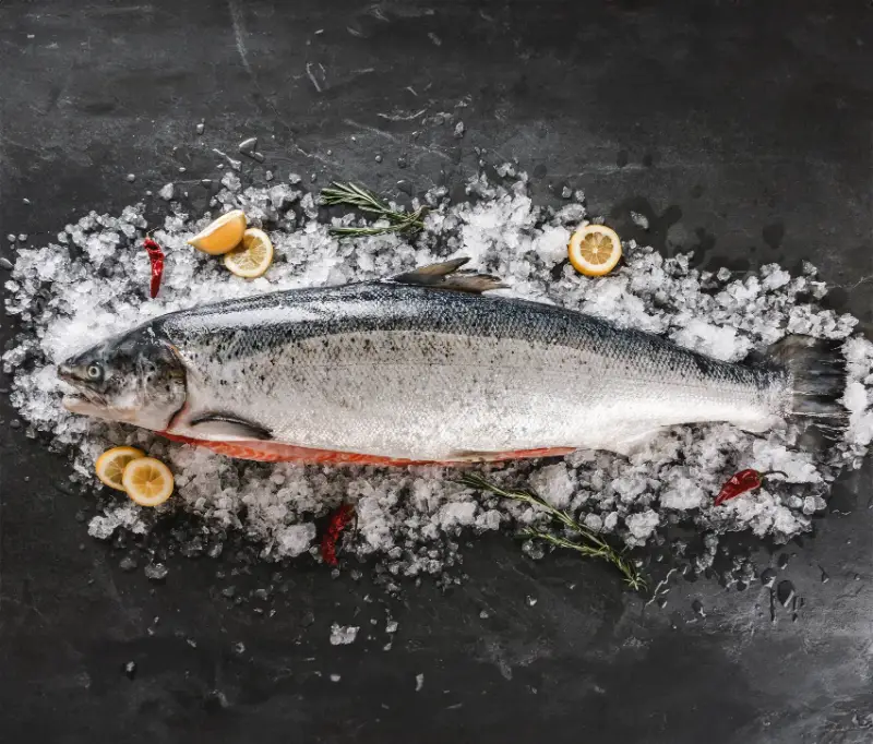 SALMON WHOLE FISH