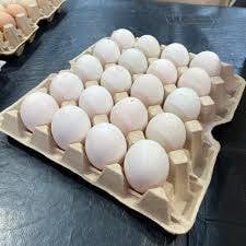 DUCK EGG (താറാവ് മുട്ട) 1 TRAY = 20 EGGS