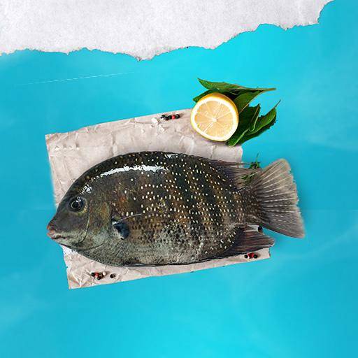 PEARL SPOT  (കരിമീൻ)