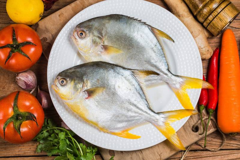 GOLDEN POMFRET