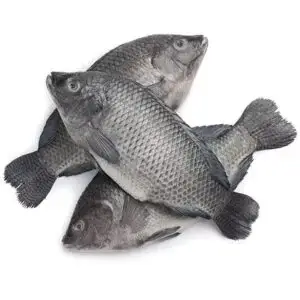Frozen tilapia 6KG BOX
