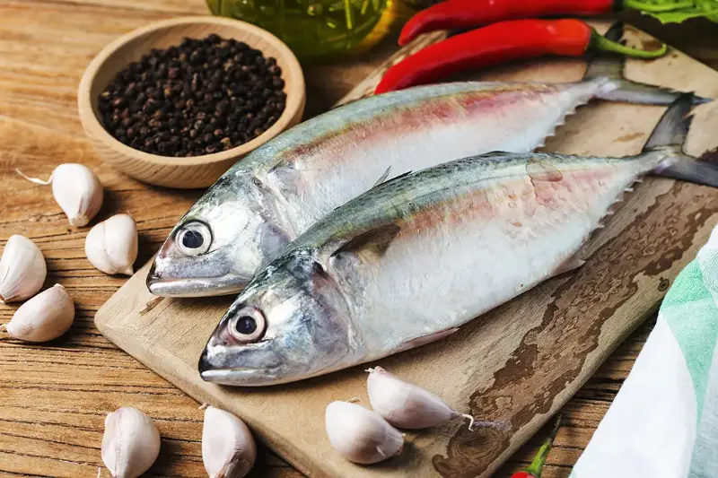 INDIAN MACKEREL (അയല)