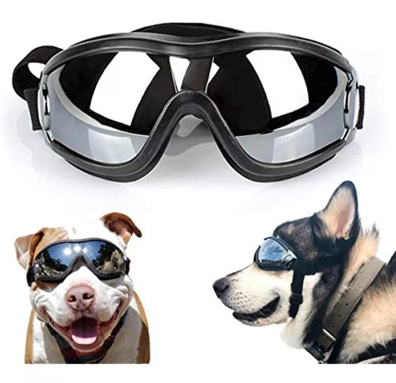 Gafas protectoras para exteriores perros