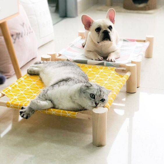 Cama de madera y lienzo mascotas