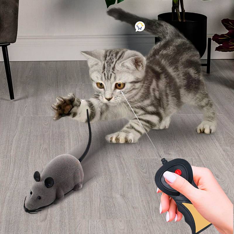 Juguete ratón control remoto