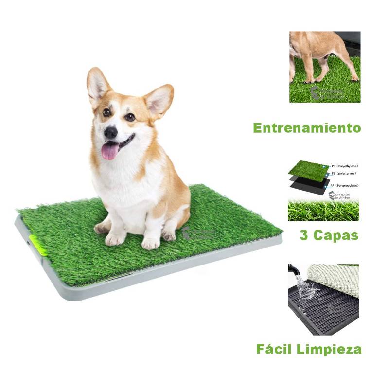Tapete entrenamiento perros