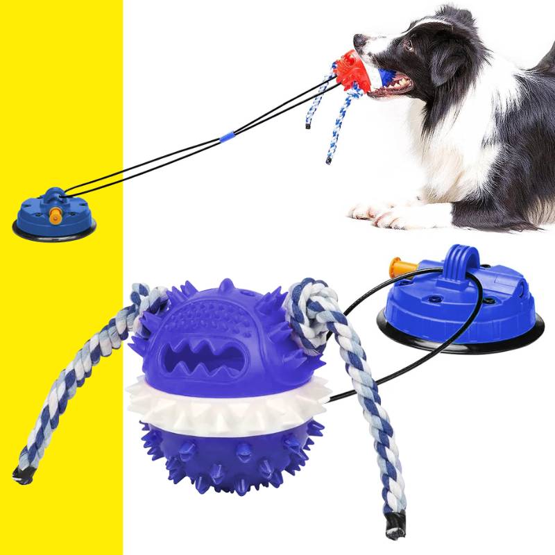 Juguete pelota succión perros