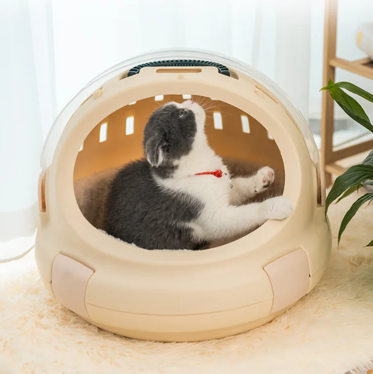 Maleta y arenero cápsula gatos