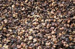 BDF Balaji Cashews Roasted & Salted 100g