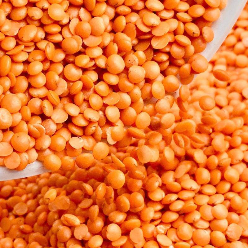 Masoor Dal Red 1kg