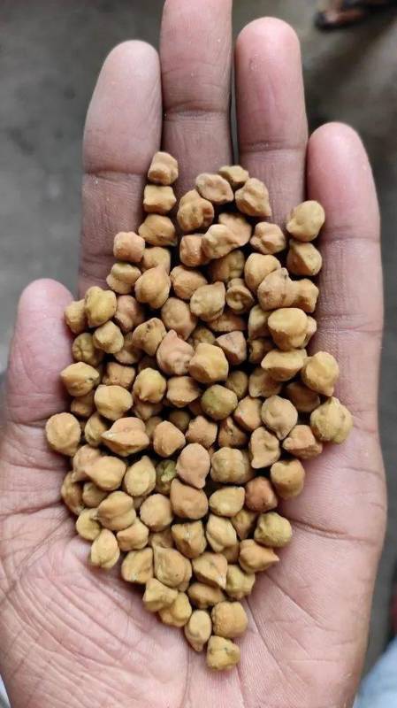 Chana Deshi 1kg
