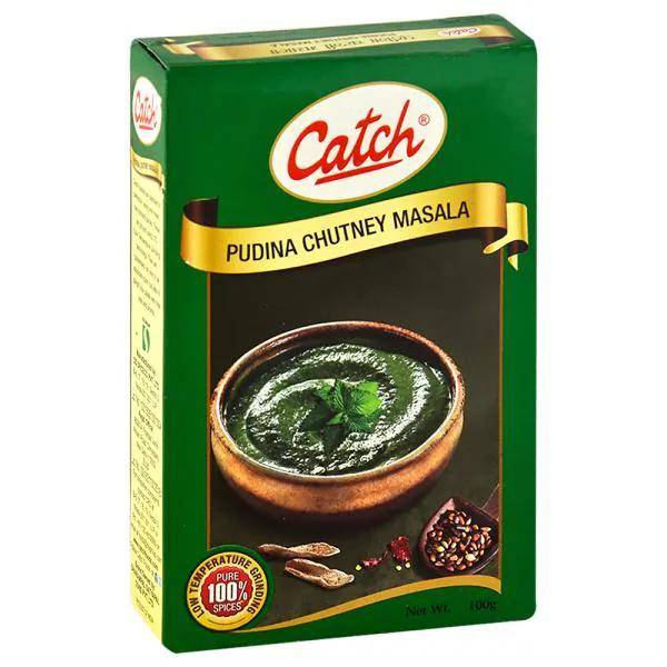 Catch Pudina Chutney Masala 100g
