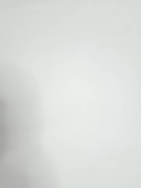 FB10- 100%Cotton,  Plain Weave, Solid