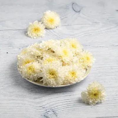 Chrysanthemum