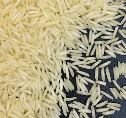 XXXL BASMATI RICE