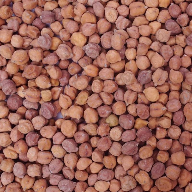 CHANA RED