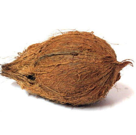 NARIYAL