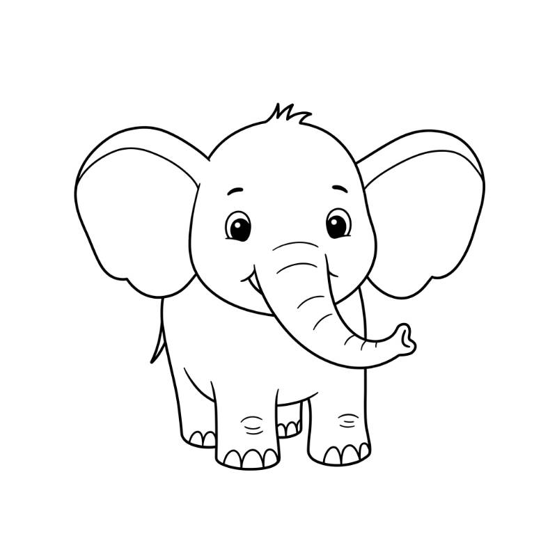 Elephant Colouring Sheet