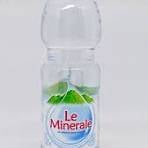 LEE MINERAL BTL 600ML*24