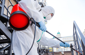 Desinfección contra virus y bacterias
