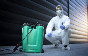 Desinfección contra virus y bacterias