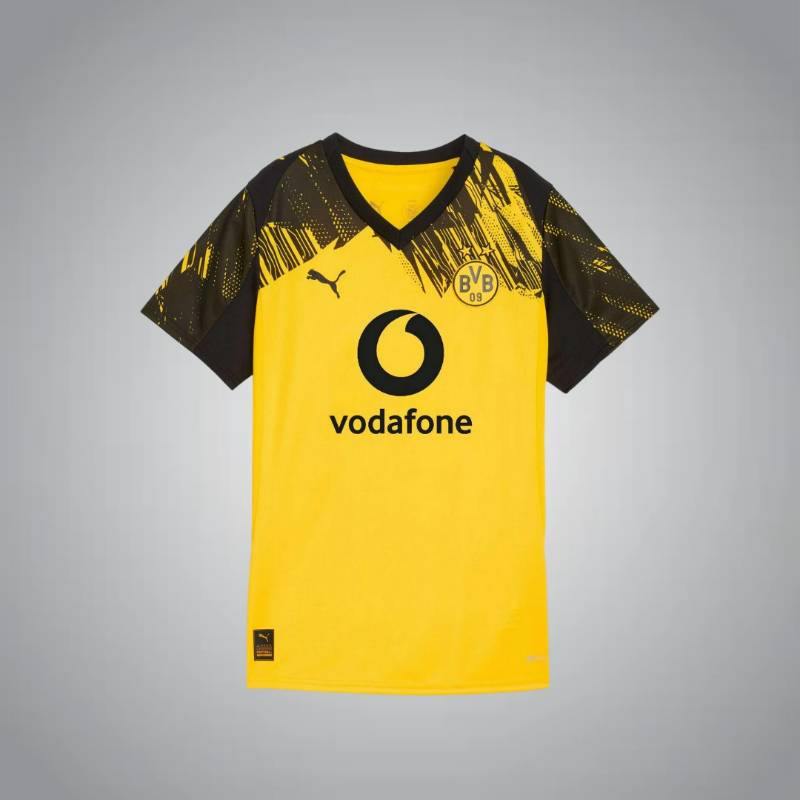 Borussia Dortmund Season 25/26