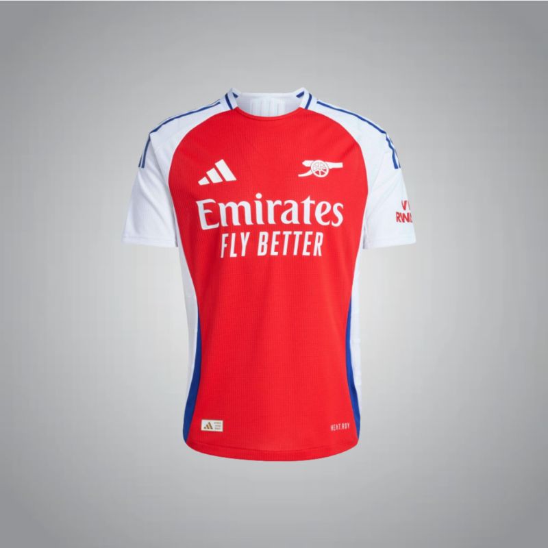 Arsenal FC Season 24/25