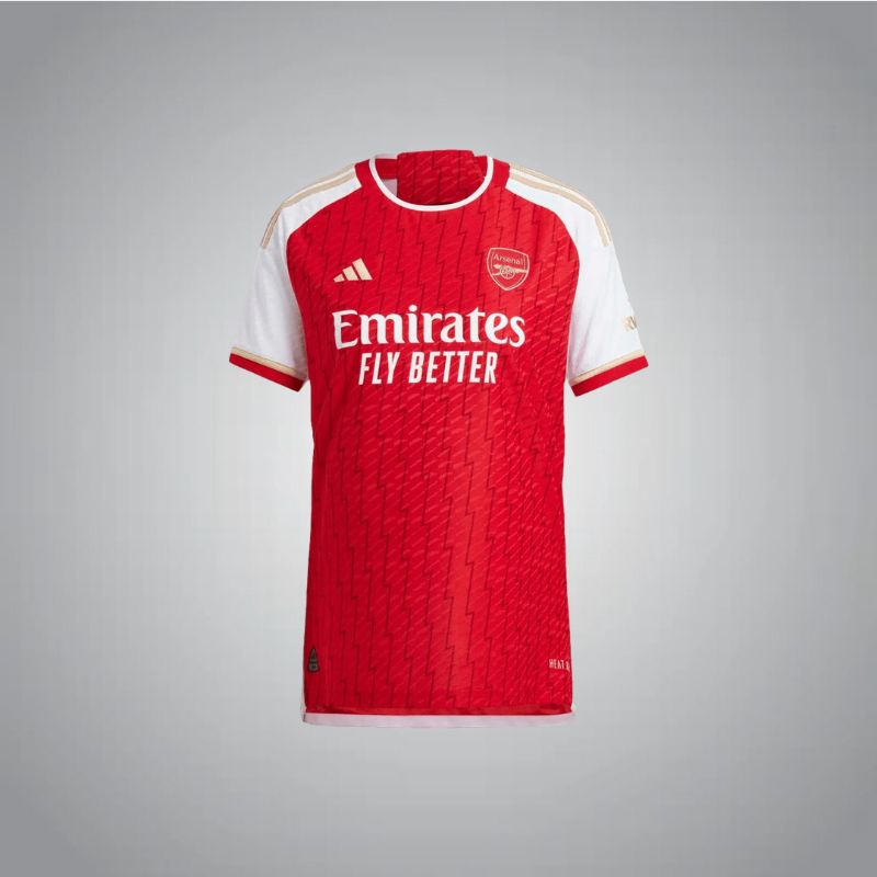 Arsenal FC Season 23/24