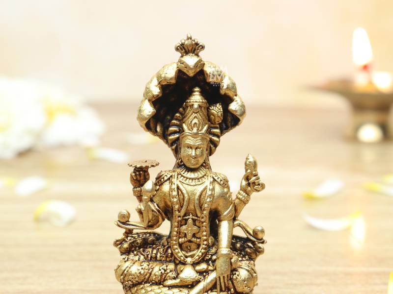 Naag Vishnu