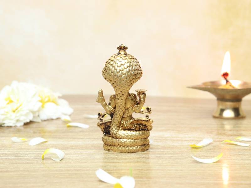 Naag Vishnu