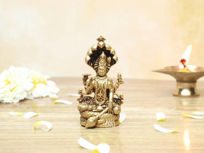 Naag Vishnu