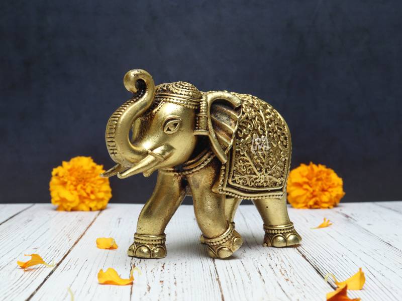 Elephant Up Trunck