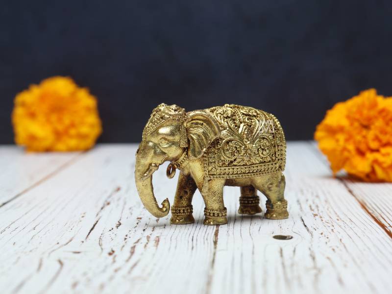 Small Elephant T-Down