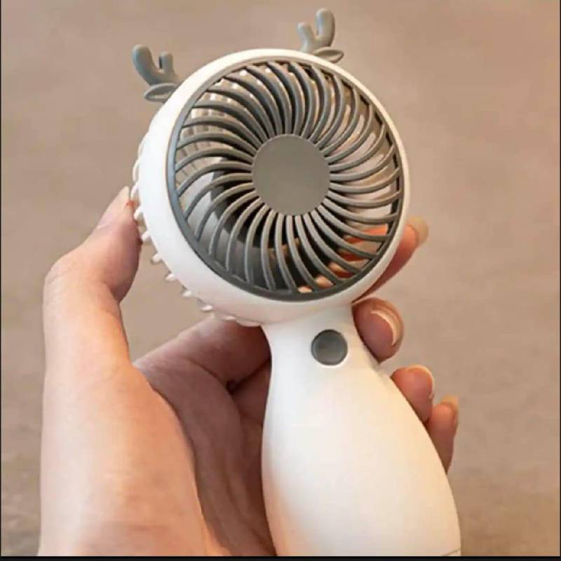 Rechargeable fan