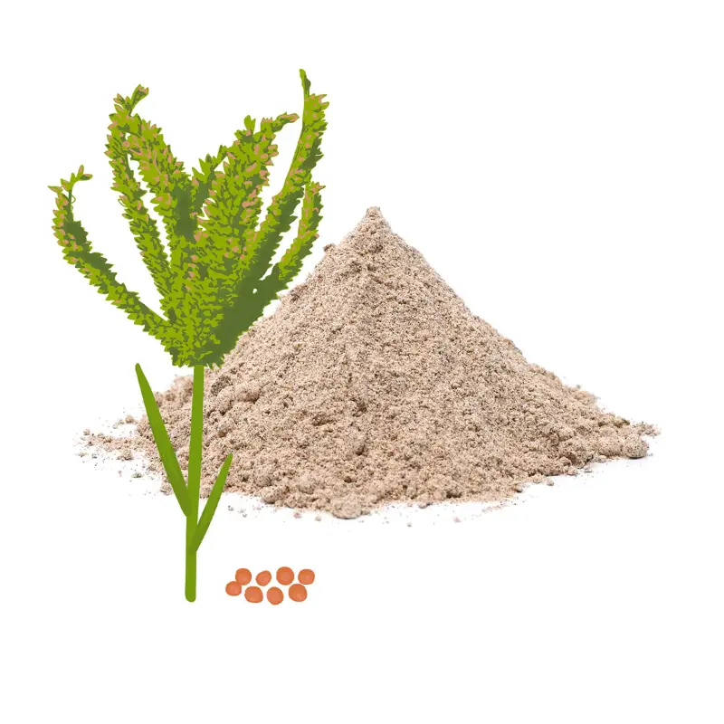 Meevel Ragi powder