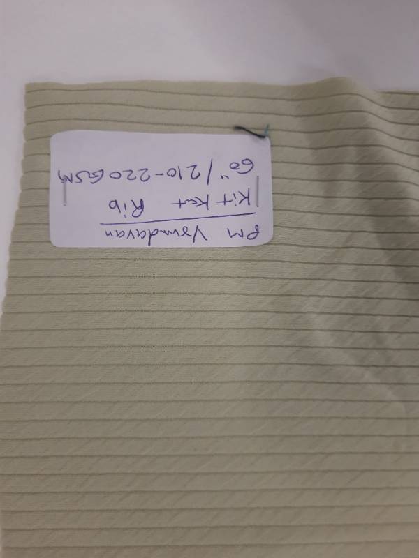 FB240- 100% Polyester, Rib Knitted Self Design Fabric