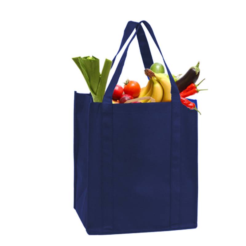 travelXOXO Recyclable Non-Woven Bag  - Navy Blue