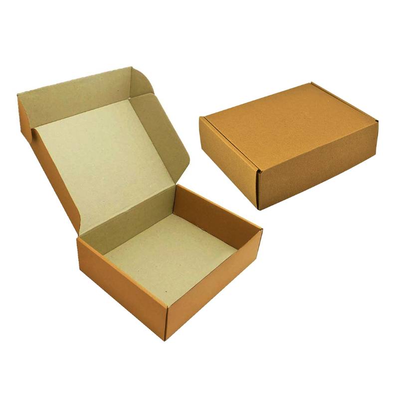 Carton Packing Box Flip 3 - White