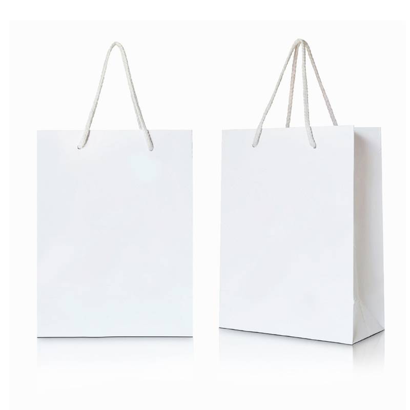 Gift Paper Bag