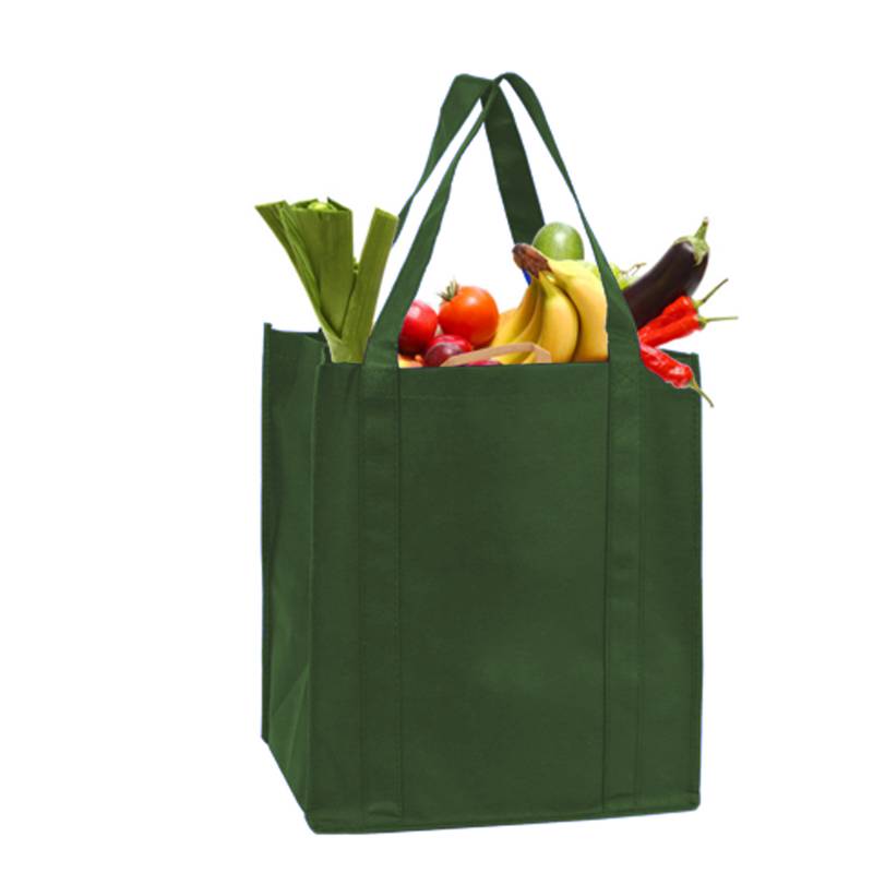 travelXOXO Recyclable Non-Woven Bag - Dark Green