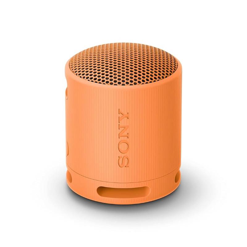 SONY SRS Xb100 Portable Wireless Speaker